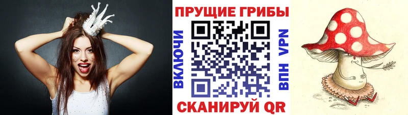 hydra ссылки  наркошоп  Сысерть  Псилоцибиновые грибы GOLDEN TEACHER 